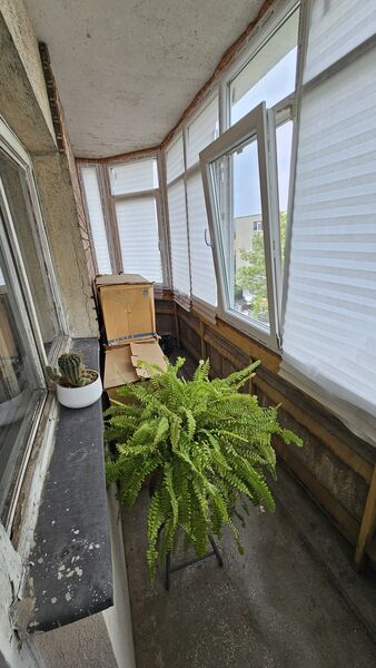 Floreasca, Radu Beller, vis a vis parc Floreasca.