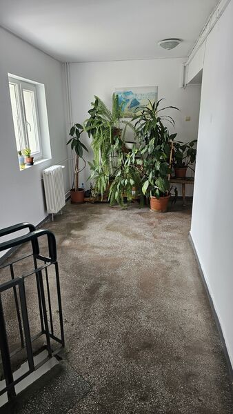 Floreasca, Radu Beller, vis a vis parc Floreasca.